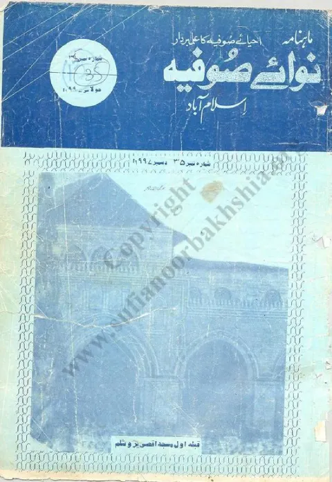 Cover of 35