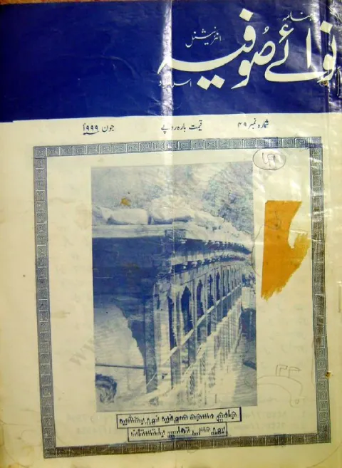 Cover of 49