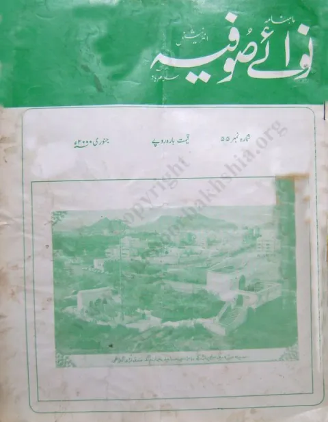 Cover of 55